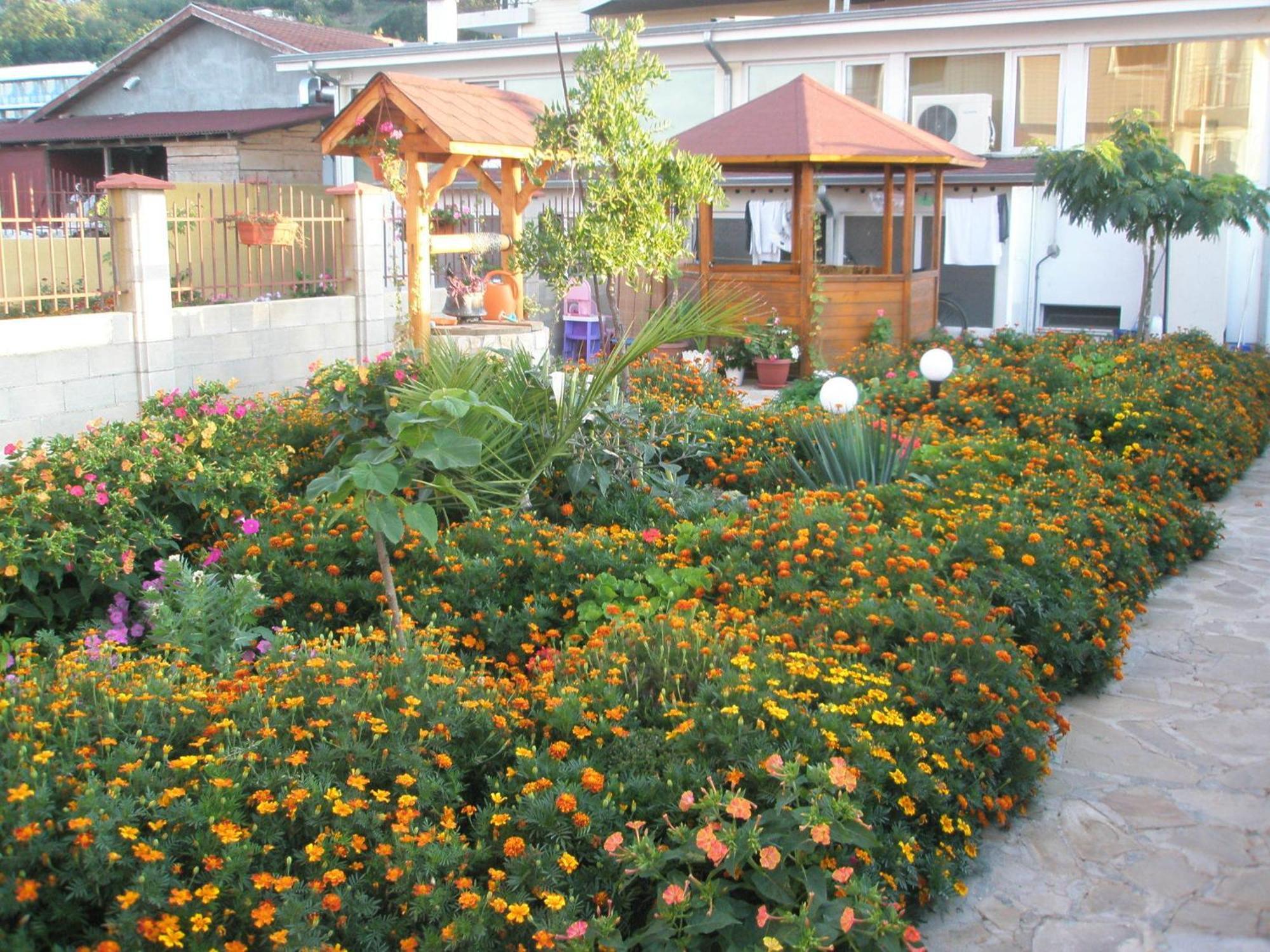 Hotel Morski Dar Kranevo Exterior foto